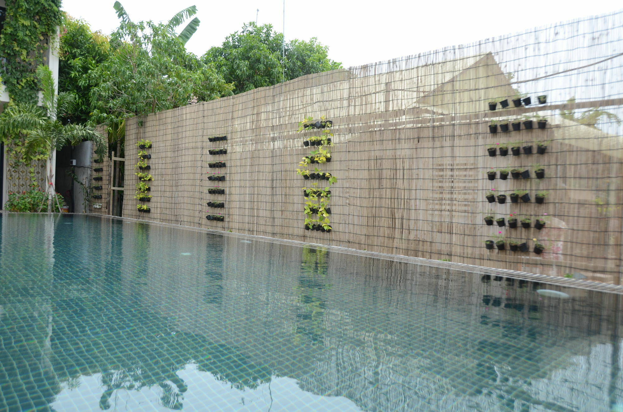 Filia D'Angkor Boutique Villa Сіємреап Екстер'єр фото
