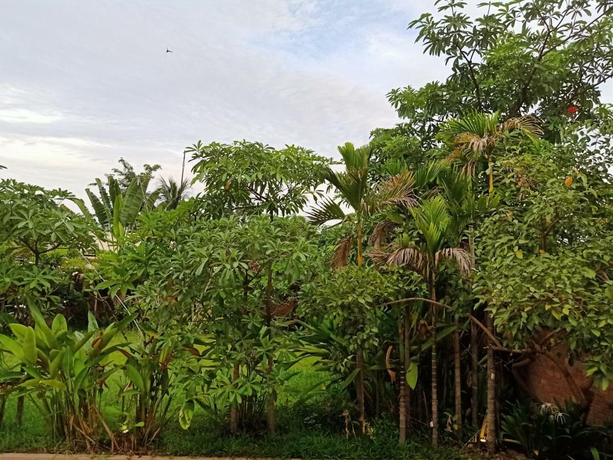 Filia D'Angkor Boutique Villa Сіємреап Екстер'єр фото